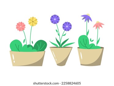 Set of cute flat flowers in pot, home decoration illustration