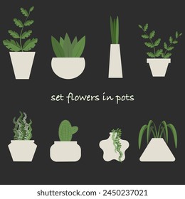 Set of cute flat plants flowers with unusual shaped pots on the black background