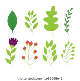 set of cute flowers and branches with leafs vector illustration design