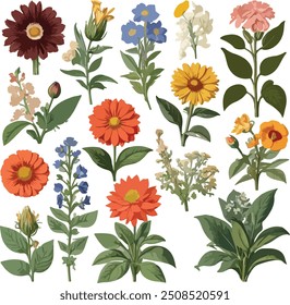 Set of cute flowers with branches and leaf's naturals botanical garden vector design 