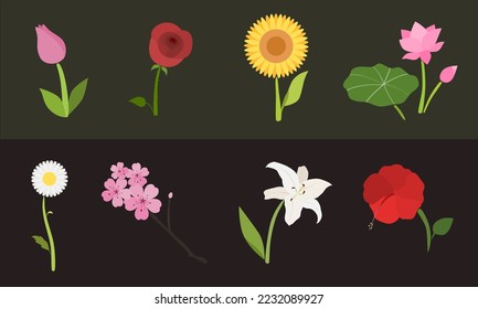 set of cute flowers in different seasons