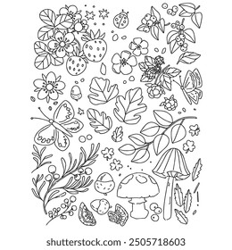 Set of cute flowers, mushrooms, branches, strawberry, butterfly. Hand drawn fairy garden elements. Cartoon aesthetic. Wildflowers, berries stickers. Vector illustration. Walnut chestnut lineart