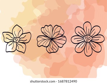 conjunto de flores tiernas diseño de ilustración vectorial natural