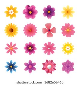 set of cute flowers naturals in white background vector illustration design