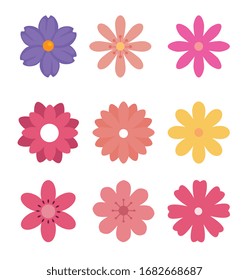 set of cute flowers naturals in white background vector illustration design