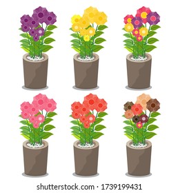 Set of Cute flowers in a pot, colorful flower 
summer