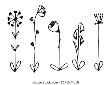 Set of cute flowers. Vector doodle outline illustration on white background. Design for print types, coloring book, poster, postcard, t-shirt, cup, packaging design, logo.