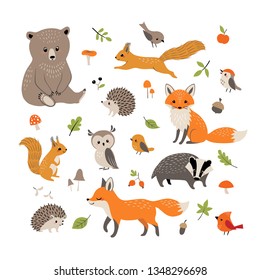 Set of cute forest animals, mushrooms, berries, leaves and acorns  isolated on white background. 