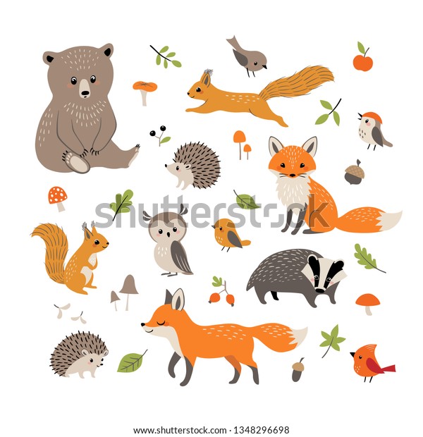 Set Cute Forest Animals Mushrooms Berries Stock Vector (Royalty Free ...