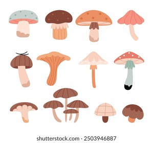 Set of cute forest mushrooms in pastel colors.Autumn forest plants. Fall season food, raw healthy natural fungi, stalks and caps of different types.