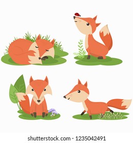 Set of cute fox cartoon character illustration