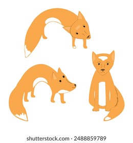 Conjunto de lindos cachorros de zorro en diferentes poses. Iconos de zorro rojo salvaje aislados sobre fondo blanco. Ilustración vectorial.