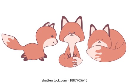 Set of cute fox  isolated on white background. Flat design for poster or t-shirt. Vector illustration
