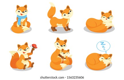 Set of cute foxes. Vector illustration on a white background.