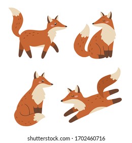 Set of cute foxes. Vector illustration.