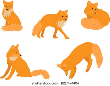 Set of cute foxes. Zabavka collection of red Fox. The movements and emotions of animals.