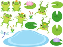 一套可爱的青蛙和青蛙王子的卡通人物。矢量插图。两栖动物绘图。快乐的青蛙坐着跳剪贴画，不同的姿势，与池塘，植物，蜻蜓。丰富多彩的图形元素。