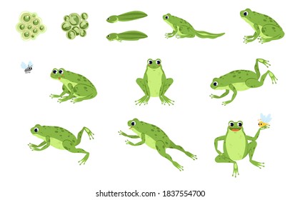 Set of Cute Frog and Frog Prince cartoon characters. Frog Jumping Animation Sequence