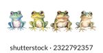 Set of cute frog watercolor isolated on white background. Frog animal vector illustration