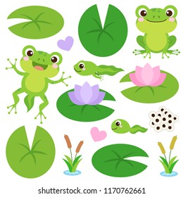 Set of Cute Frogs. Egg masses, tadpole, froglet, frog, hearts, plants, water lily leaf and flower. Frog's life cycle clip art. Vector illustration.