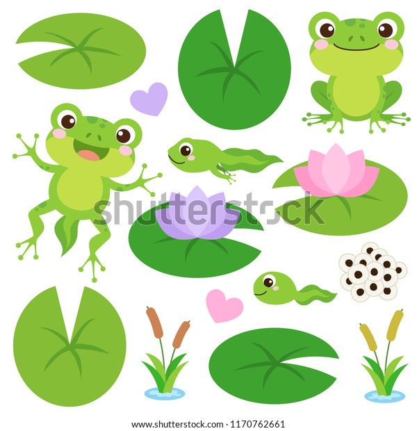 Set of Cute Frogs. Egg masses, tadpole,\
froglet, frog, hearts, plants, water lily leaf and flower. Frog\'s\
life cycle clip art. Vector\
illustration.