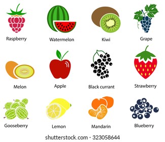 Set of cute fruit icons with title over white background. Vector illustration.