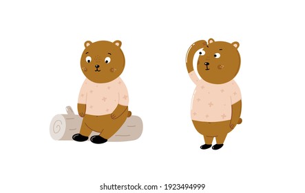 Set of cute and funny animal bears. Collection of characters. Vector illustration