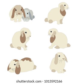 Set of cute funny bunnies. Cute hand drawn design. Bunny Set 1. Flat Vector Illustration