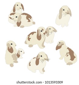 Set of cute funny bunnies. Cute hand drawn design. Bunny Set 3. Flat Vector Illustration