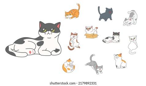 Set of cute funny cats activity such as hiding in the box, hissing, jumping, sleeping etc.