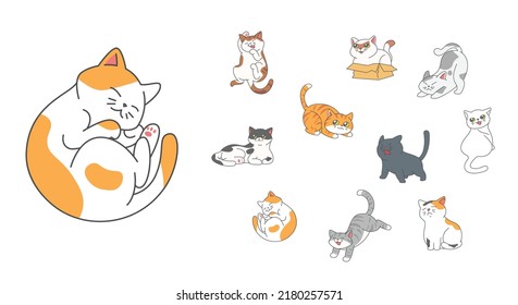 Set of cute funny cats activity such as hiding in the box, hissing, jumping, sleeping etc.