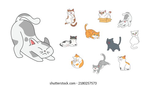 Set of cute funny cats activity such as hiding in the box, hissing, jumping, sleeping etc.