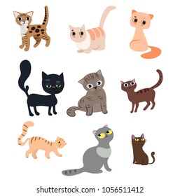 Set of cute funny cats with their daily activities