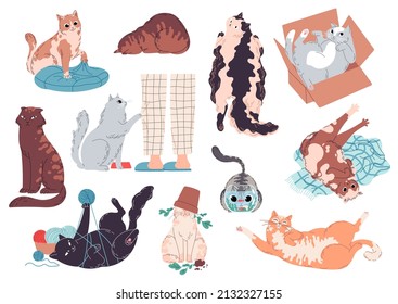 Juego de gatos lindos y divertidos Ilustración vectorial