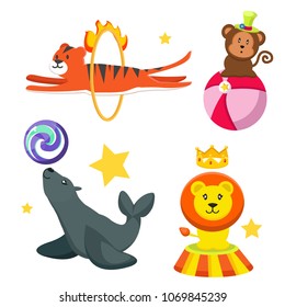 Set cute, funny circus animals. Seal with ball, tiger with crown, monkey in funny hat, tiger hangs through the flame. Entertainment, sight, rest Modern vector flat image isolated on white background