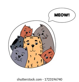 Set of cute funny color doodles of different cats. Funny cat collage in the circle. Vector illustration for children clothes, prints, stickers, postcards. Hand drawn vector illustration.