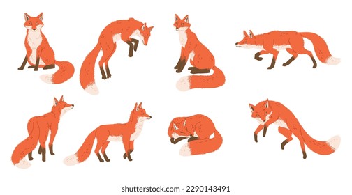 Set of cute funny foxes in different poses flat style, vector illustration isolated on white background. Cunning forest animal, hunter, design elements collection