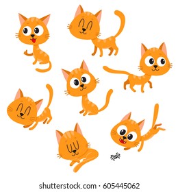 Set of cute and funny orange cat character showing different emotions, playing, sleeping, sitting, standing, cartoon vector illustration isolated on white background. 