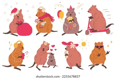 Set of cute and funny quokka animals, cartoon flat vector illustration isolated on white background. Macropod animal in different poses - listening to music, driving scooter, eating ice cream.