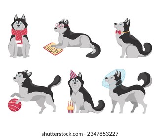 Set of cute and funny Siberian husky in different situations, flat vector illustration isolated on white background. Cartoon childish character of dog playing with ball, reading book, wearing scarf.