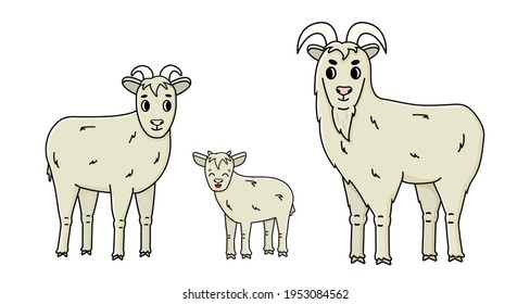Set of cute funny vector doodle cartoon farm goat family male buck, female with horns and a baby stand sideways and look straight. Isolated fluffy hand drawn Animals are on white background, side view