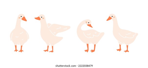 Set of cute geese. Collection of domestic birds. Trendy scandinavian vector illustration of gooses. 