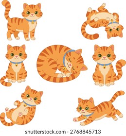 Set Cute Ginger Orange
