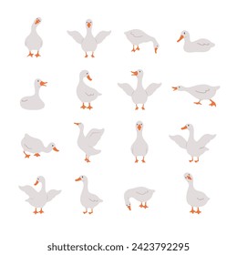 Set of cute gooses. Domestic and wild ducks on white background. Agriculture birds on farm. Rural wildlife. Funny hand drawn print. Vector illustration in flat cartoon style.