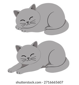 Conjunto de gatos cinzentos bonitos dormindo e esticando. British Shorthair gatinhos cochilando isolado no branco. Ilustração em desenho animado vetorial para padrões de pijama, roupas de cama ou decoração de clínica veterinária.