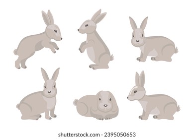Set of cute gray rabbits, hares. Cartoon illustration, Easter design elements, vector