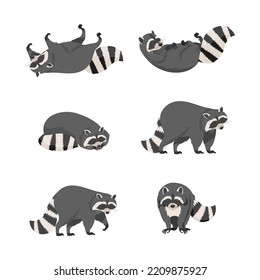 Set of cute gray raccoons in everyday activities cartoon vector illustration