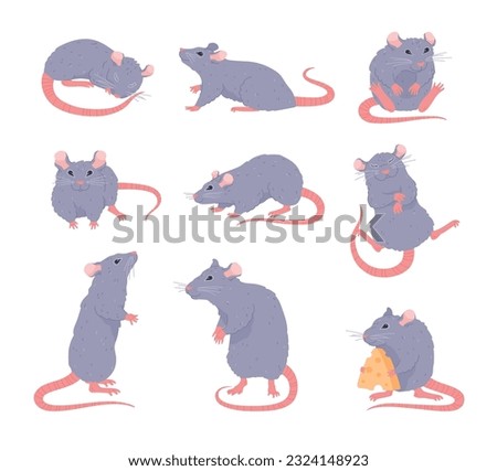 Set of cute gray rats in different poses flat style, vector illustration isolated on white background. Decorative design elements collection, rodent animal, little pets with long tails