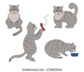 Set of cute gray tabby cats in different poses. Vector elements for design