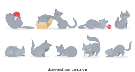 Set of cute grey cats in different position. Funny kitten pose, play, sleep. Collection of pet character. Set of isolated vector illustration.